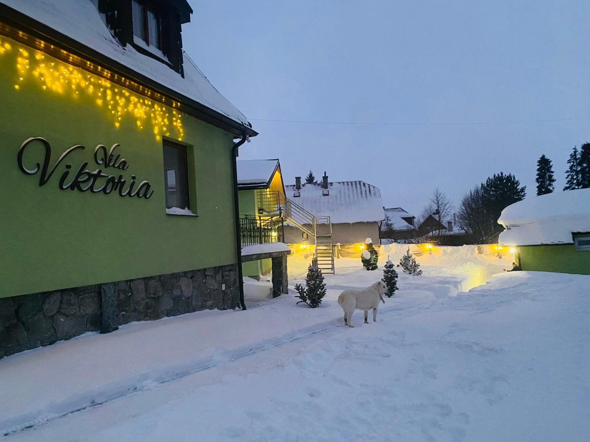 Vila Viktoria Štôla エクステリア 写真
